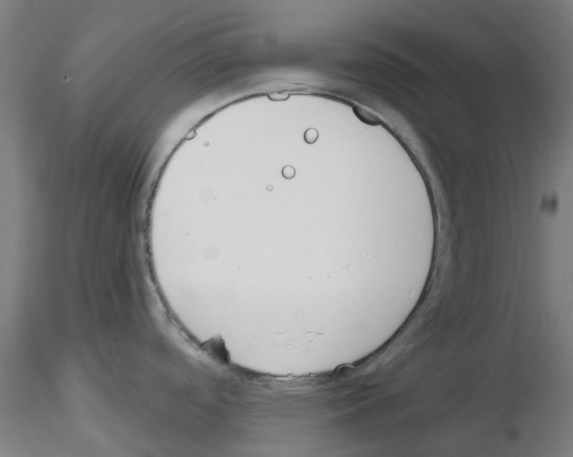 X0000116151488201001041043