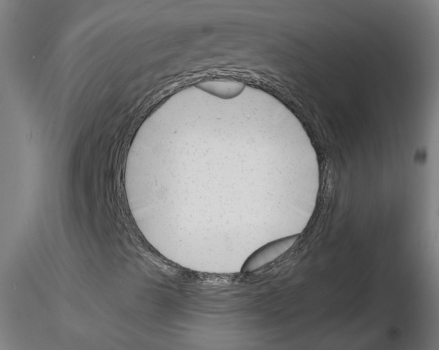 X0000116151489201001041042