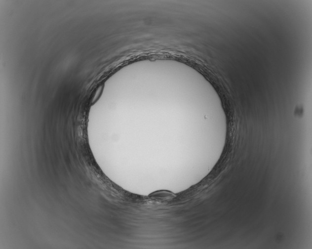 X0000116151490201001041042