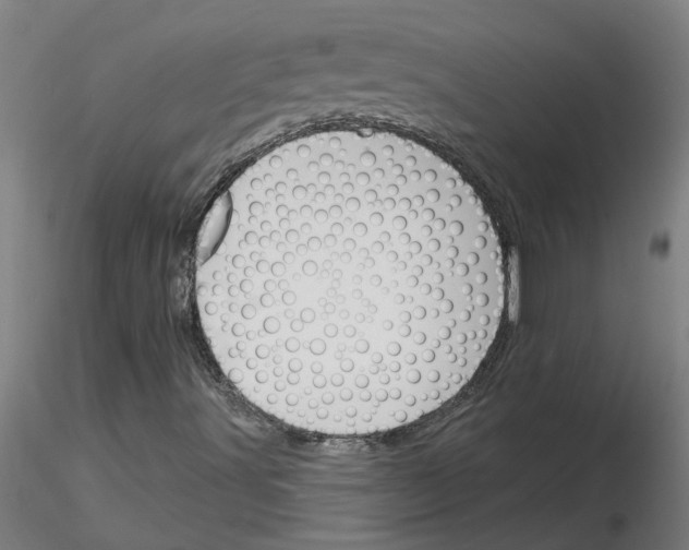 X0000116151491201001041042