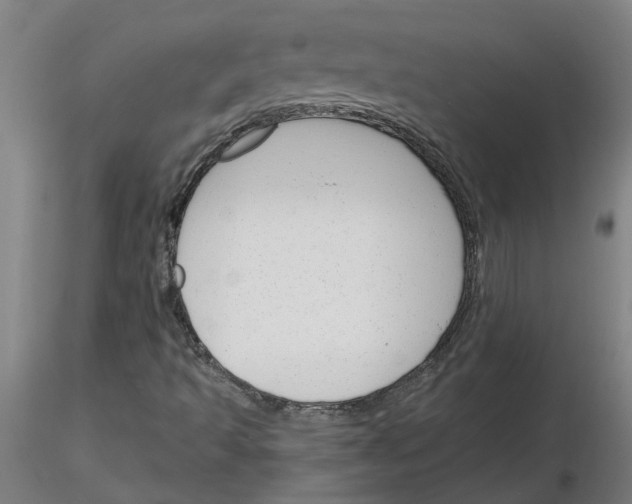 X0000116151493201001041042