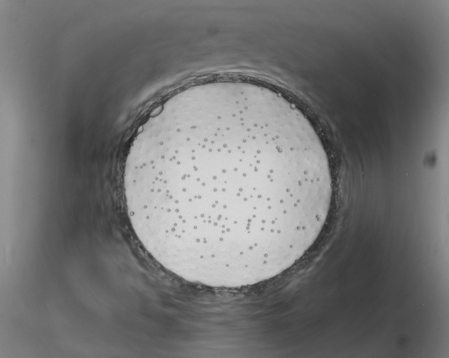 X0000116151494201001041042