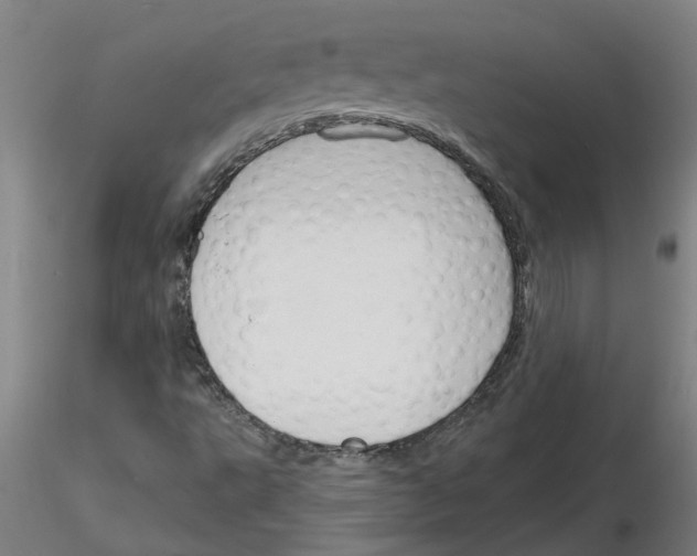 X0000116151495201001041042