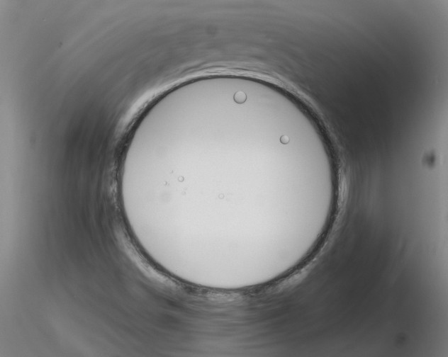 X0000116151498201001041042