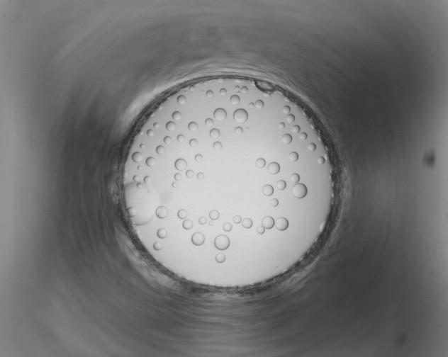 X0000116151499201001041042