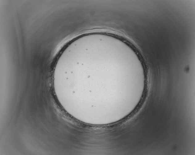 X0000116151501201001041042