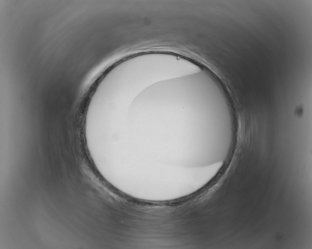 X0000116151502201001041042