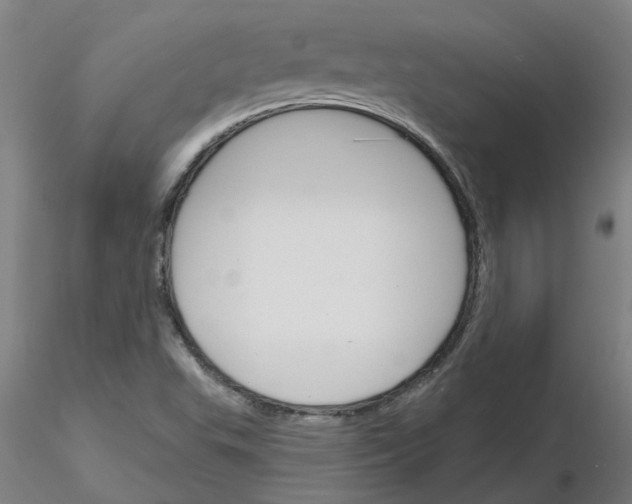 X0000116151503201001041042