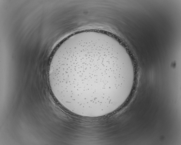 X0000116151505201001041042