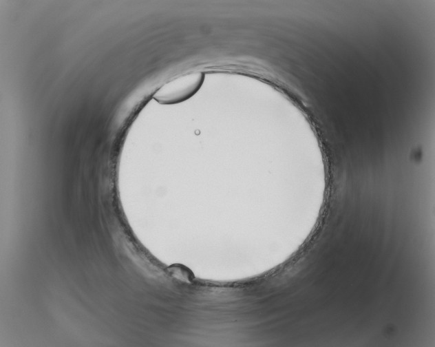 X0000116151506201001041042