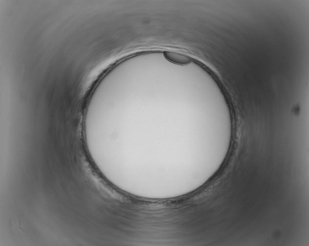 X0000116151507201001041042