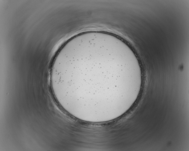 X0000116151509201001041042