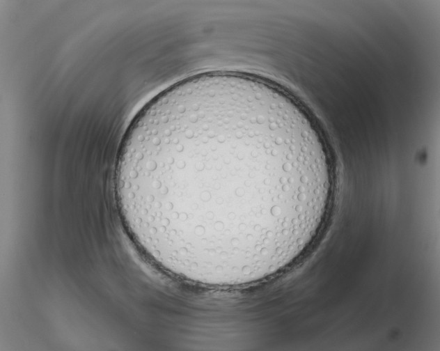 X0000116151513201001041042