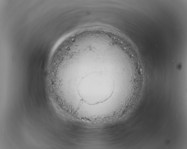 X0000116151514201001041042