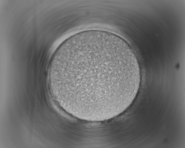 X0000116151515201001041042