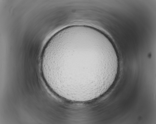 X0000116151517201001041042