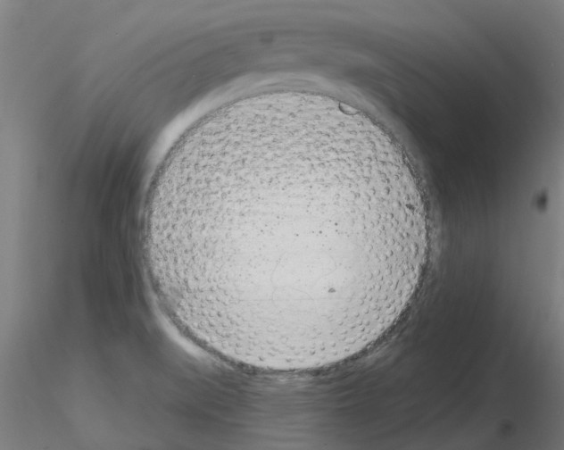 X0000116151519201001041042