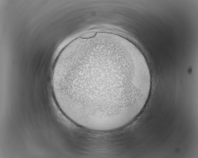 X0000116151522201001041042