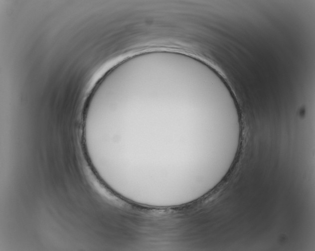 X0000116151523201001041043