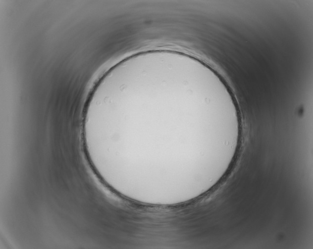 X0000116151525201001041043