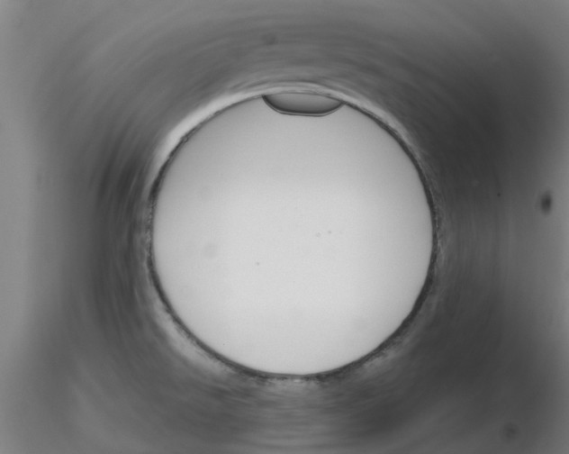 X0000116151526201001041043