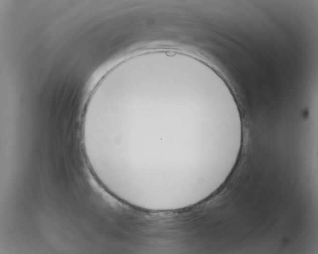 X0000116151527201001041043