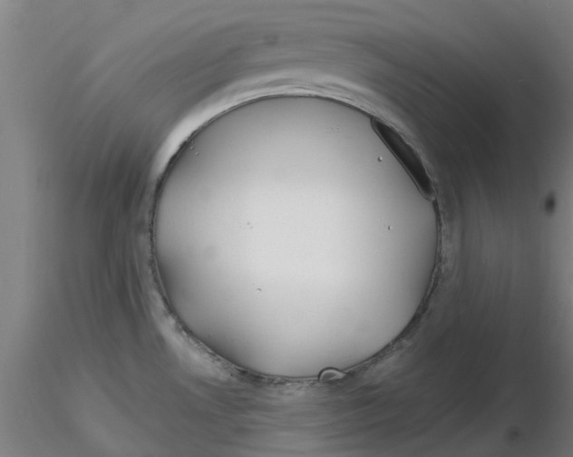 X0000116151530201001041043