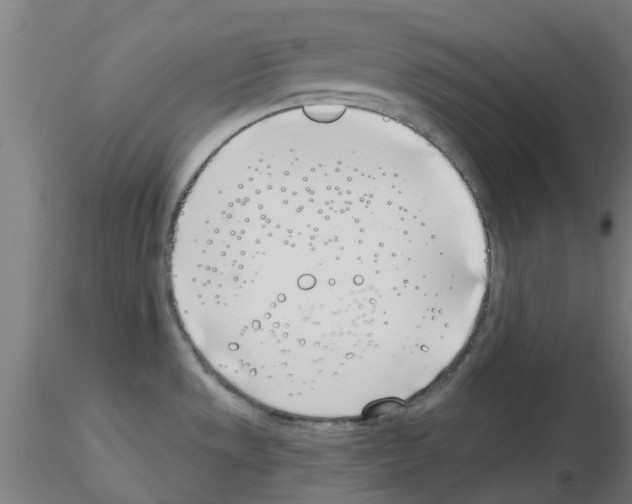 X0000116151533201001041043