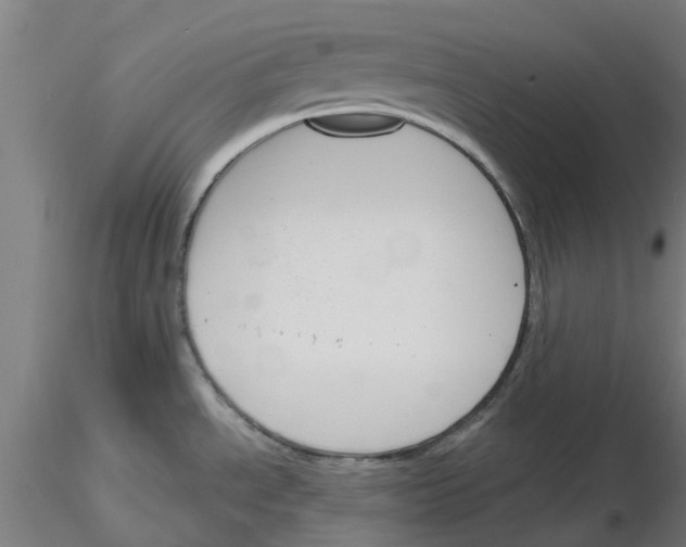 X0000116151534201001041043