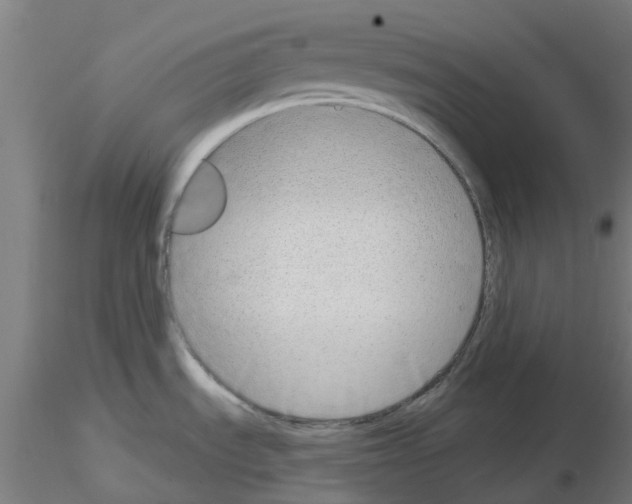 X0000116151535201001041043