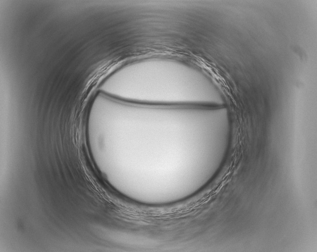 X0000116160002200911231050