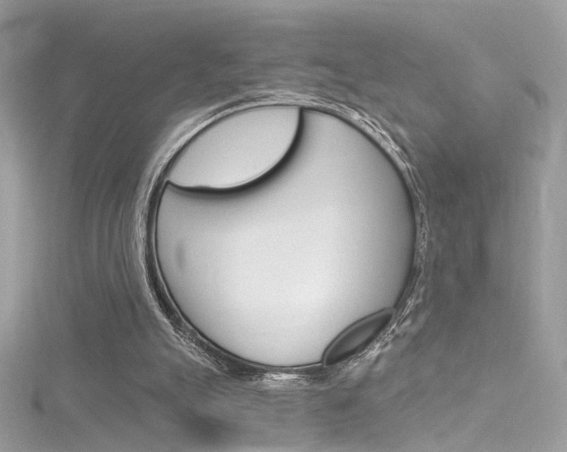 X0000116160055200911231049