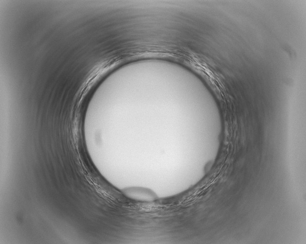 X0000116160098200911231049