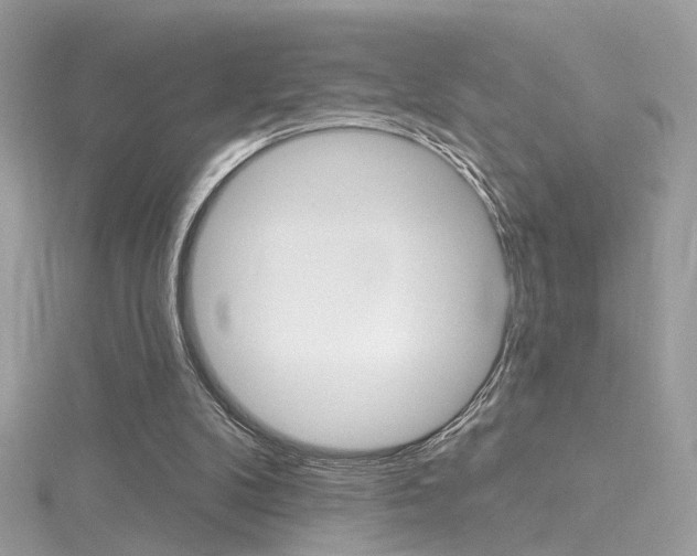 X0000116160104200911231049