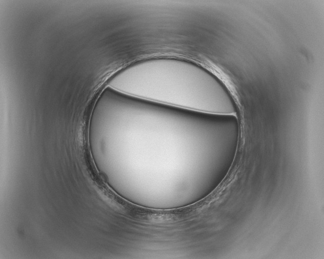 X0000116160105200911231049