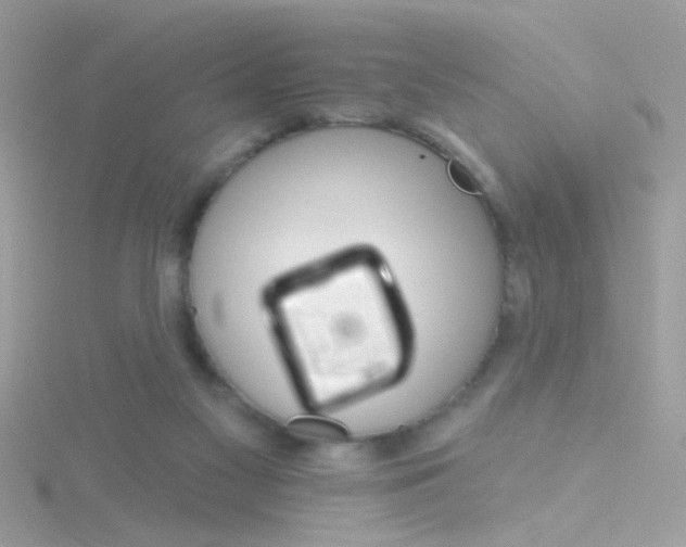 X0000116160117200911231049