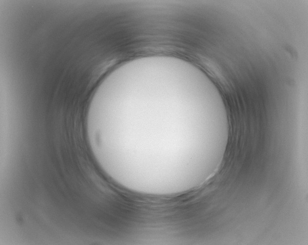 X0000116160120200911231049