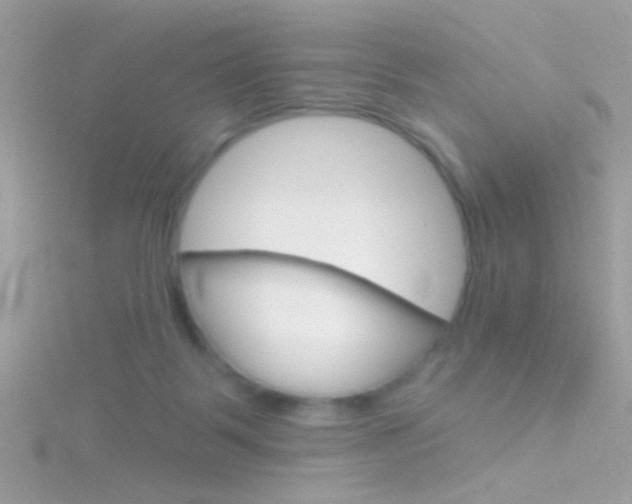 X0000116160123200911231049