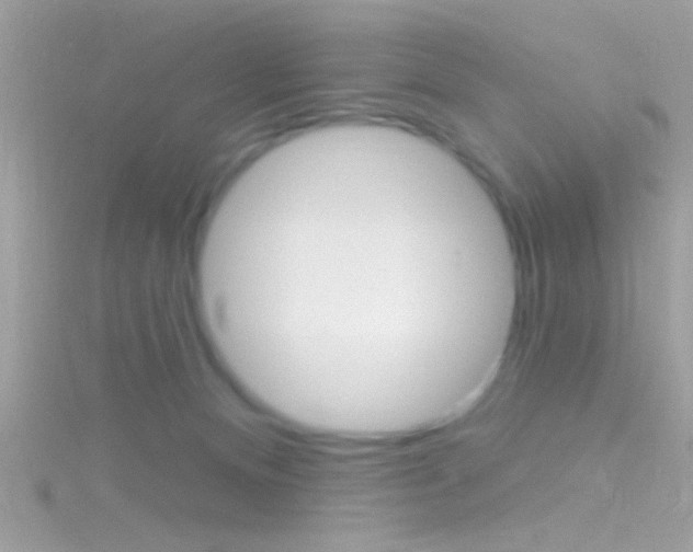 X0000116160128200911231049