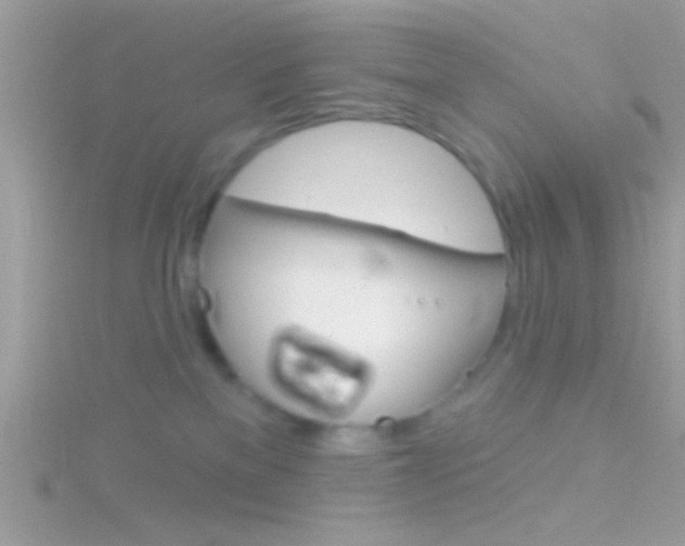 X0000116160137200911231048