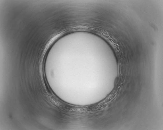 X0000116160147200911231048