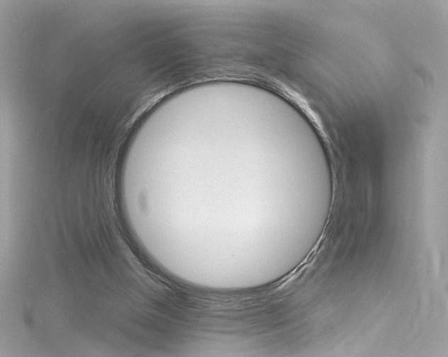 X0000116160154200911231048