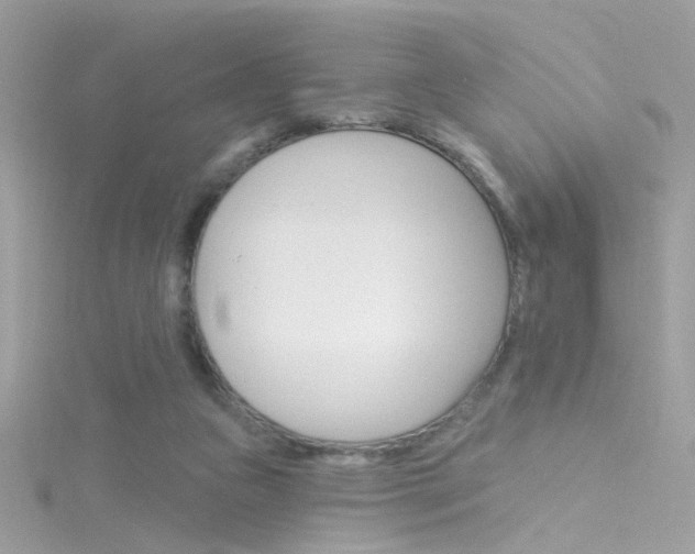 X0000116160161200911231048