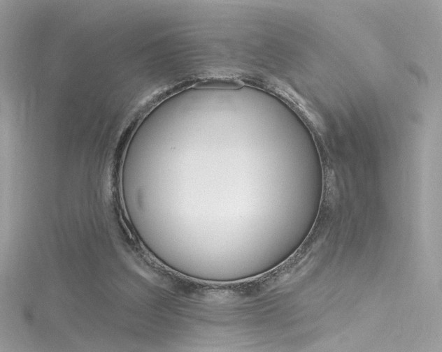 X0000116160203200911231048