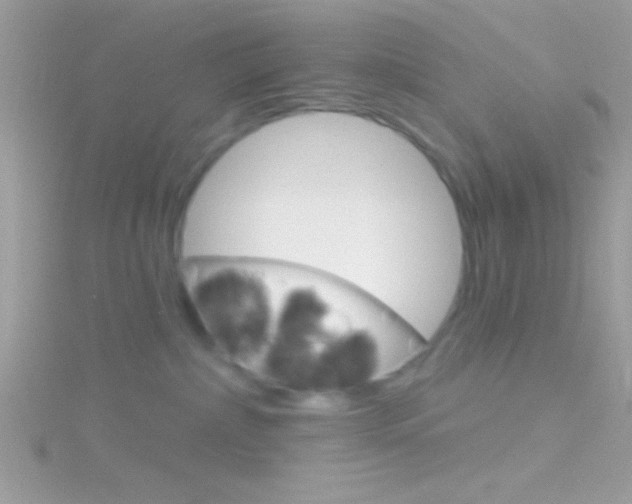 X0000116160236200911231047