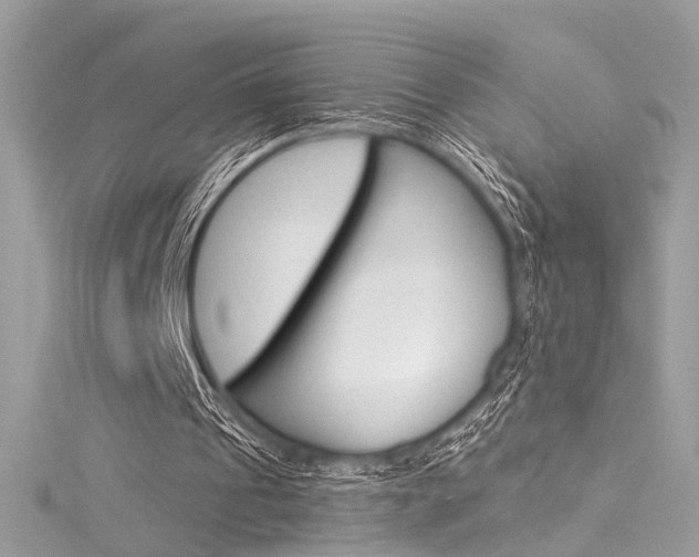X0000116160241200911231046