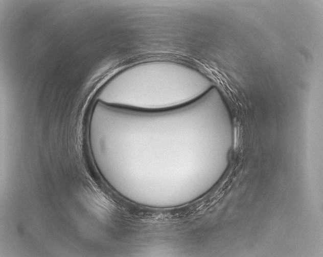 X0000116160243200911231047