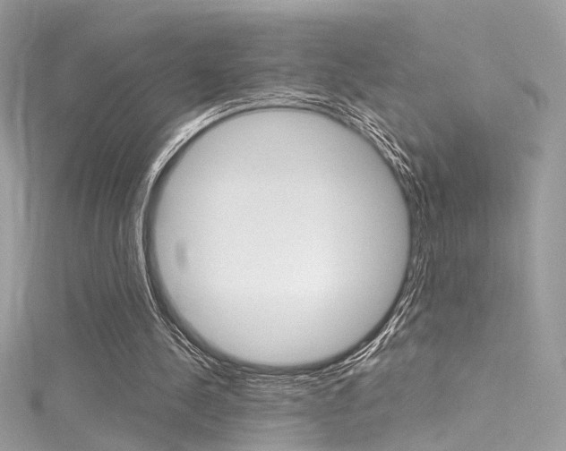X0000116160244200911231047