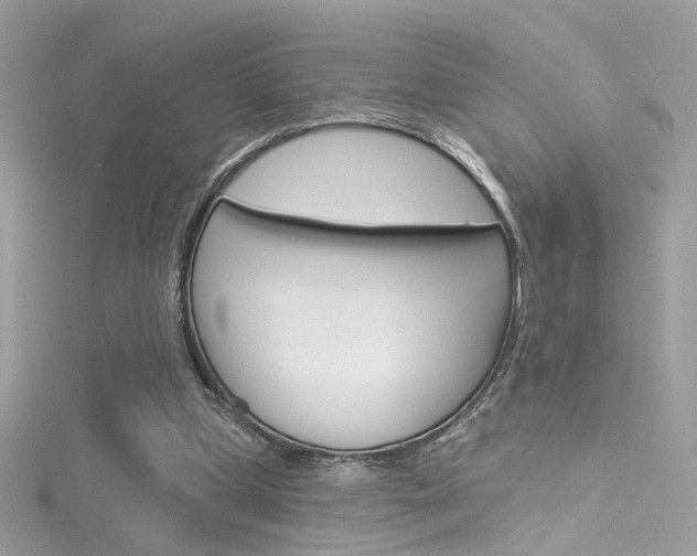 X0000116160249200911231047
