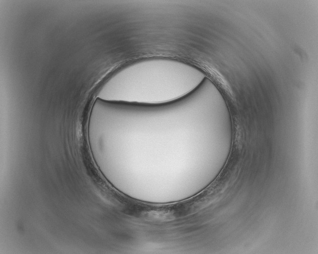 X0000116160251200911231047